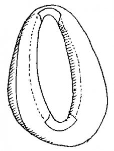 Full faced horse harness illustration